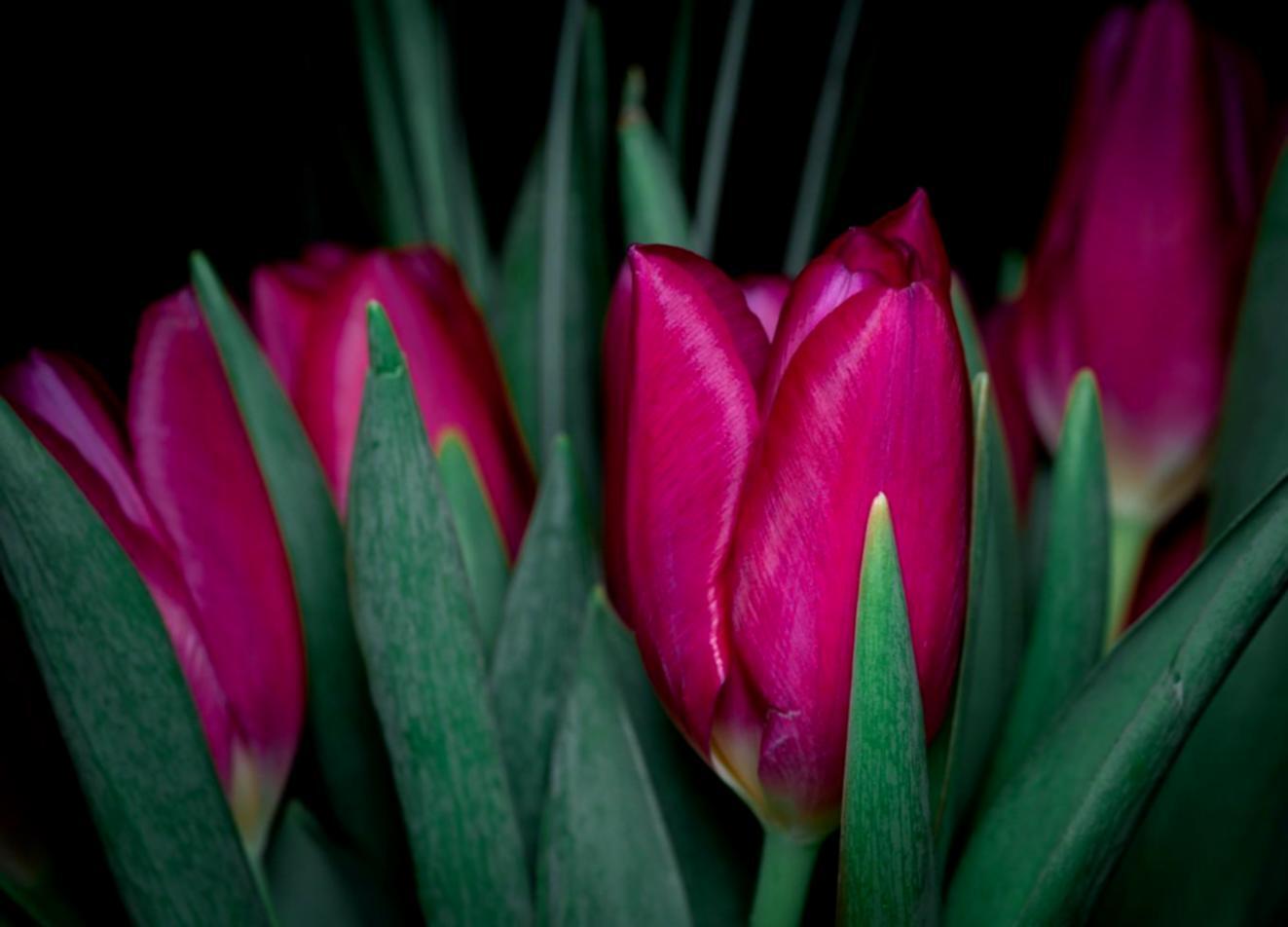 Tim teknisi profesional sedang melakukan konfigurasi server dan maintenance infrastruktur IT